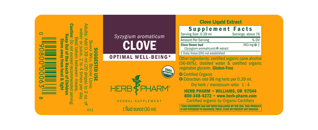 Clove Extract Tincture 1oz.