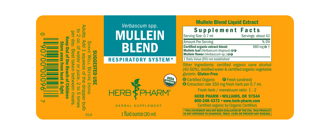 Mullein Blend Tincture 1oz.