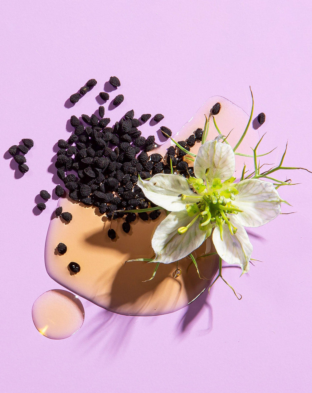 Black Seed Oil 16oz.