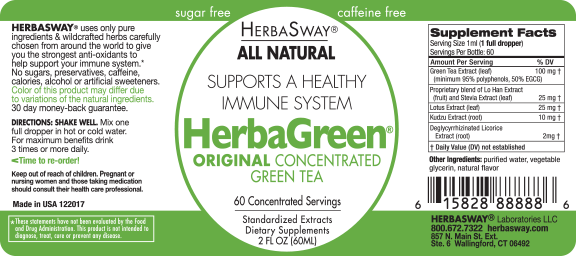 Green Tea Alcohol Free Tincture 2oz.
