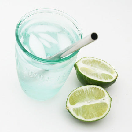 Stainless Steel Mini Straws