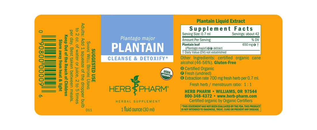 Plantain Extract Tincture 1oz.