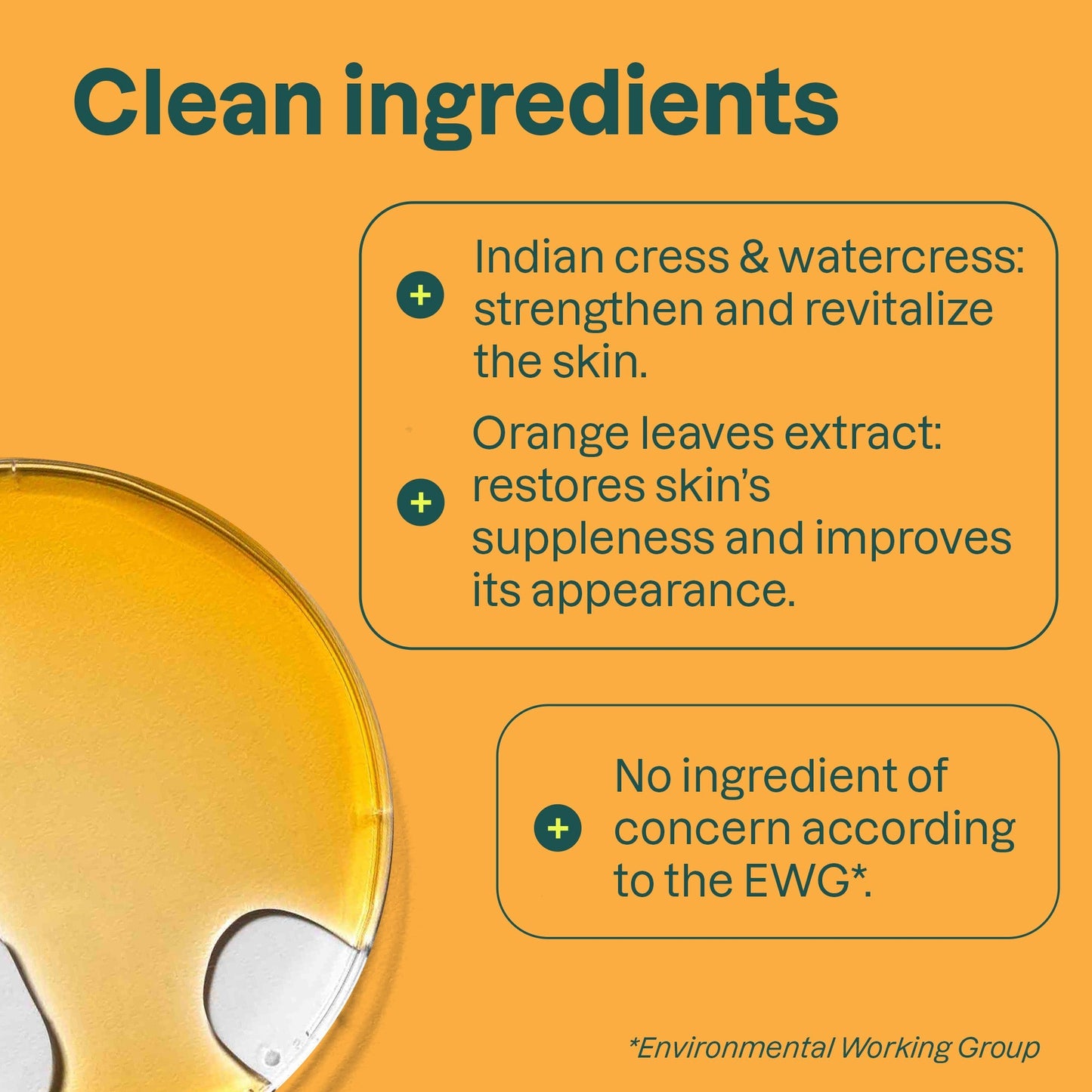 Natural Hand Soap Orange Leaves 16oz.
