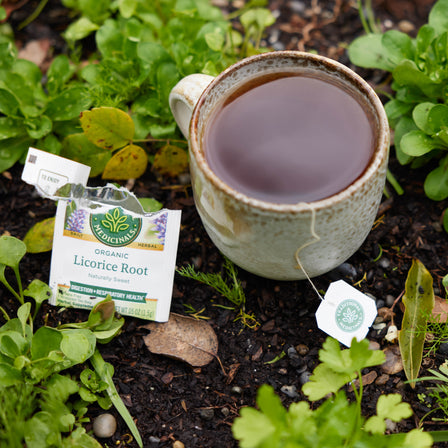 Organic Licorice Root Tea 16 Count
