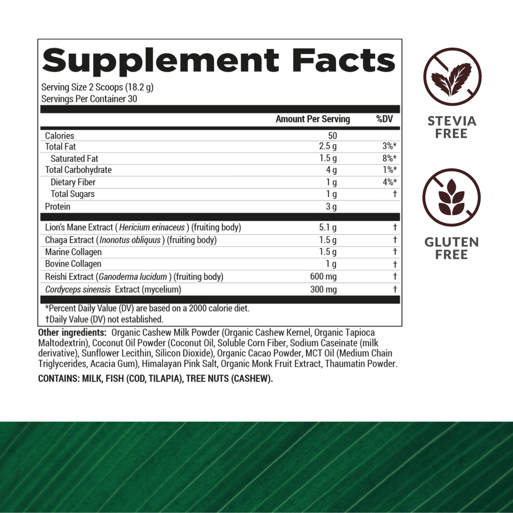 Mushroom Breakthrough Chocolicious 15 Powder Servings