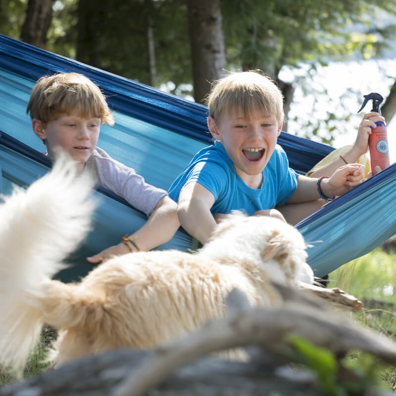 Natural Deet Free Bug Repellent For Dogs 8oz.