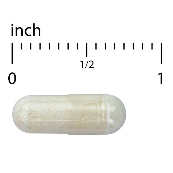 FloraSure Probitotic 30 Count