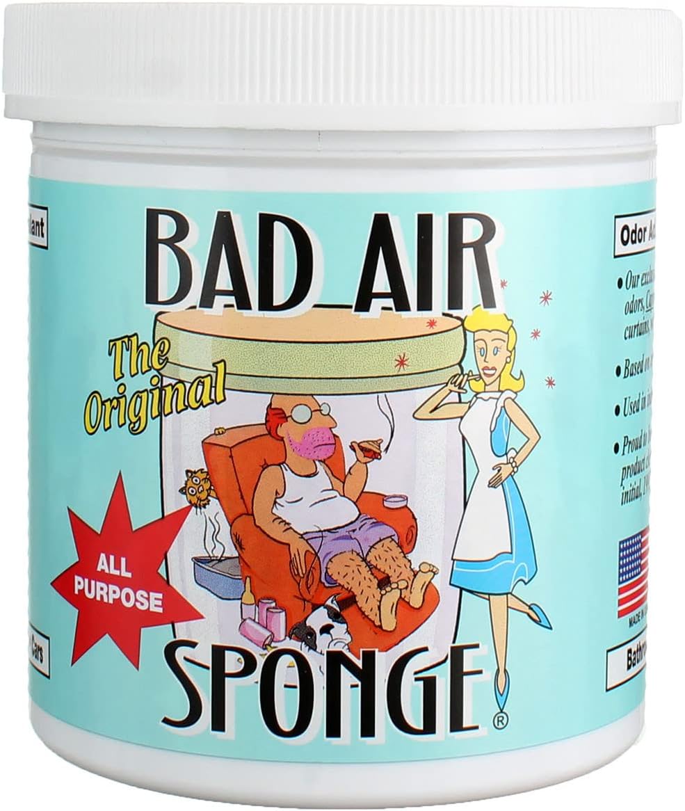 Original Bad Air Sponge