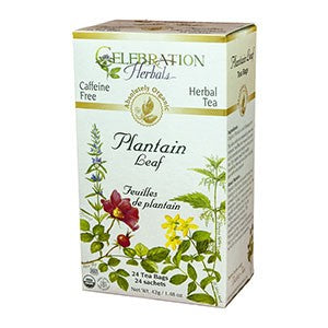 Plantain Leaf Organic