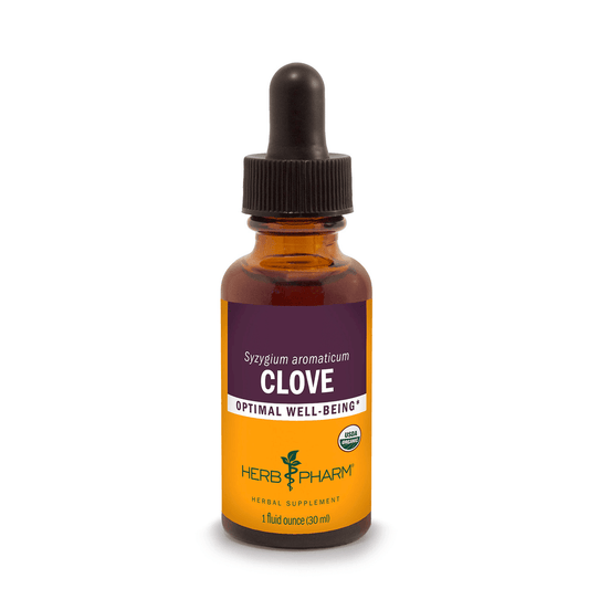 Clove Extract Tincture 1oz.