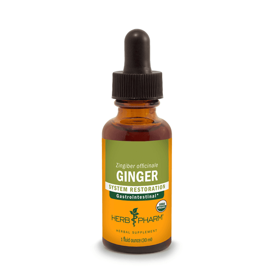 Ginger Extract Tincture 1oz.