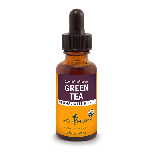Green Tea Extract Tincture 1oz.