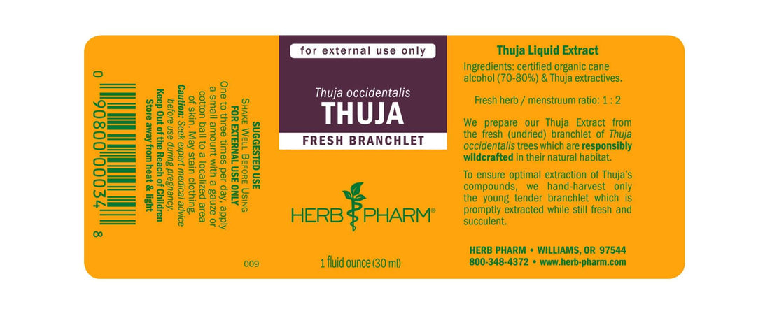Thuja Extract Tincture 1oz.