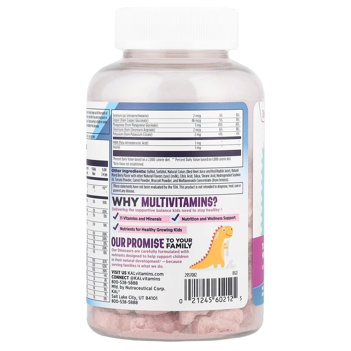 Kids Multisaurus Chewables