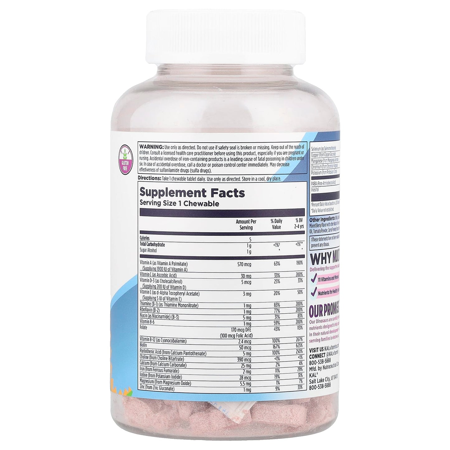 Kids Multisaurus Chewables