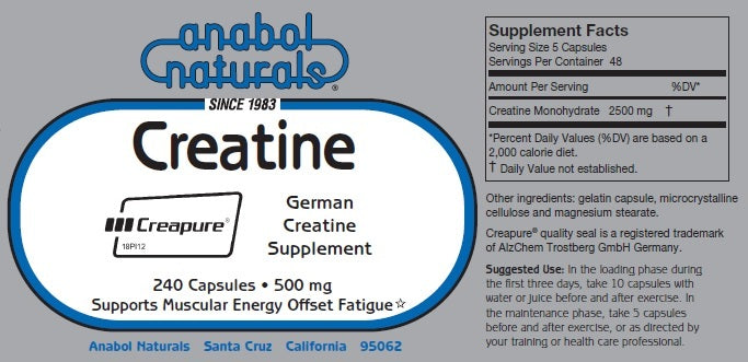 Creatine 500mg 240 Count