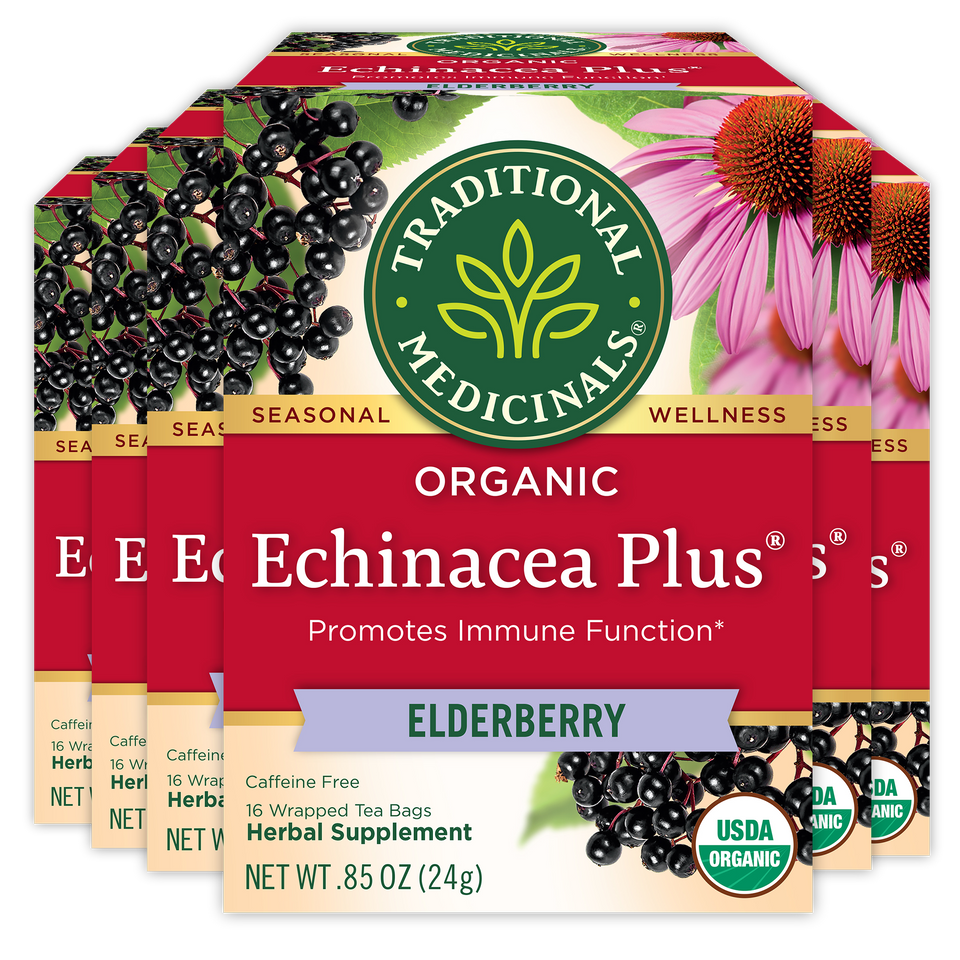 Organic Echinacea Plus Elderberry Tea 16 Count