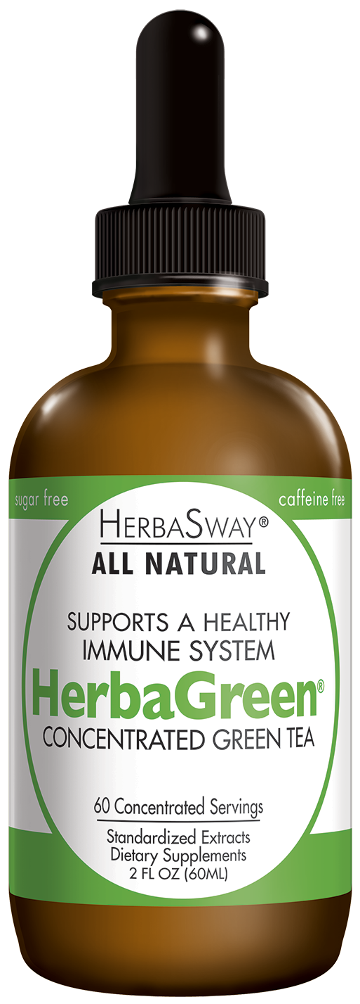 Green Tea Alcohol Free Tincture 2oz.