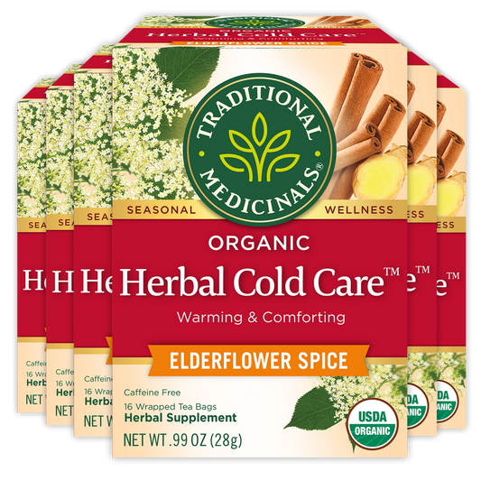 Organic Herbal Cold Care Elderflower Spice Tea 16 Count
