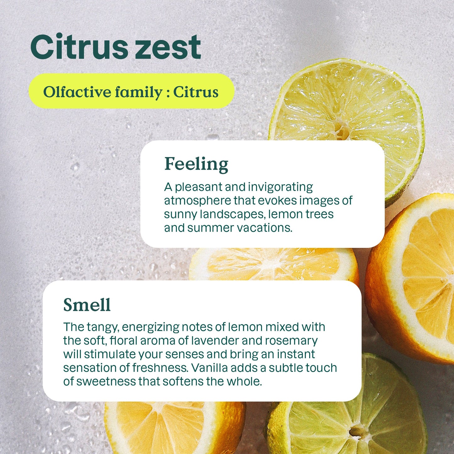 Citrus Zest Dishwashing Liquid 23.7oz.