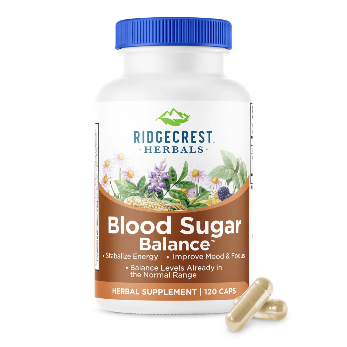 Blood Sugar Balance