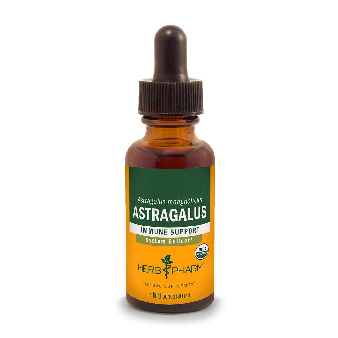 Astragalus Extract Tincture 1oz.