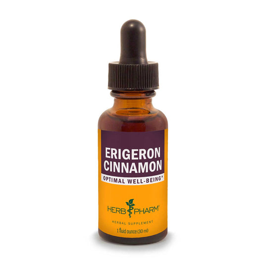 Erigeron Cinnamon Extract Tincture 1oz.