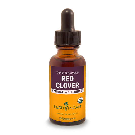 Red Clover Extract Tincture 1oz.