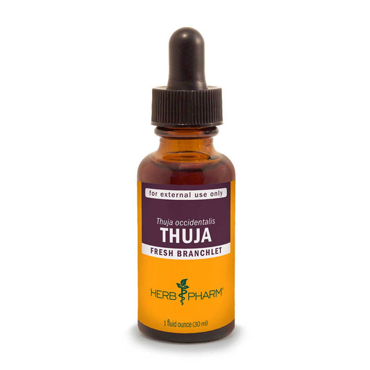 Thuja Extract Tincture 1oz.