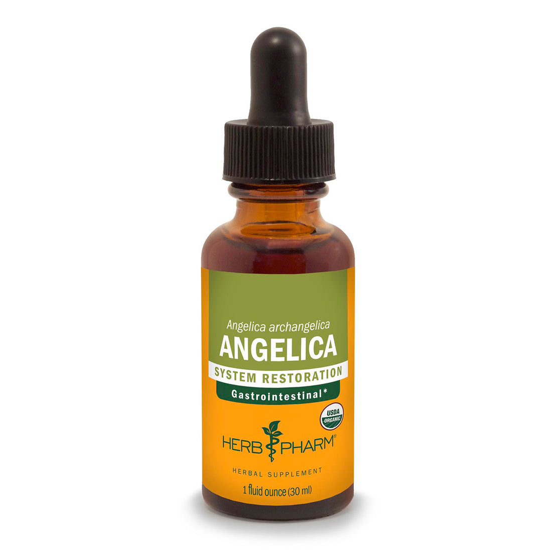 Angelica Extract Tincture 1oz.
