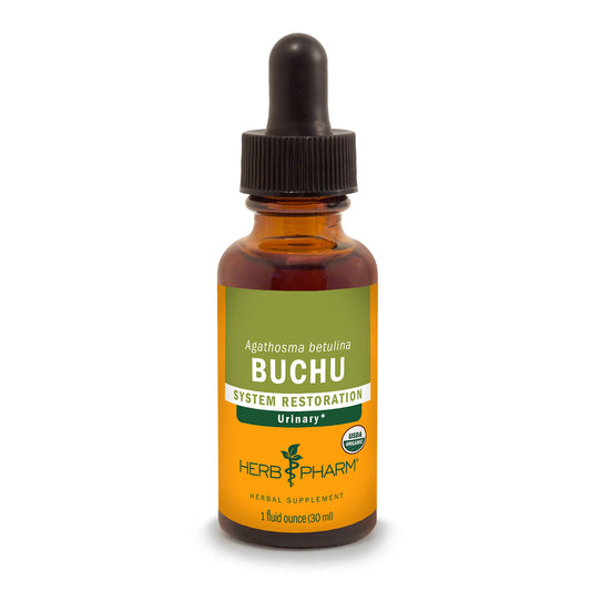 Buchu Extract Tincture 1oz.