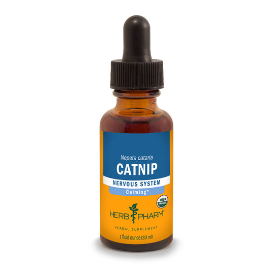 Catnip Extract Tincture 1oz.