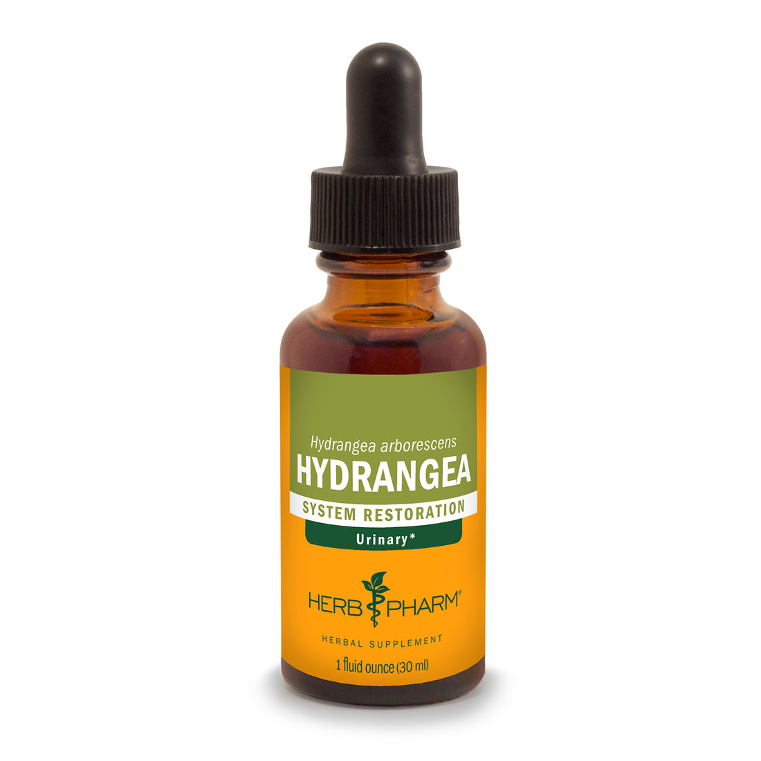 Hydrangea Extract Tincture 1oz.