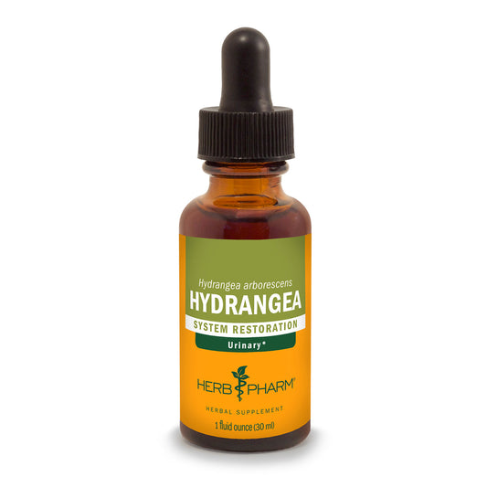 Hydrangea Extract Tincture 1oz.