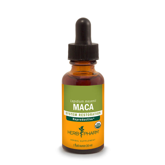 Maca Extract Tincture 1oz.