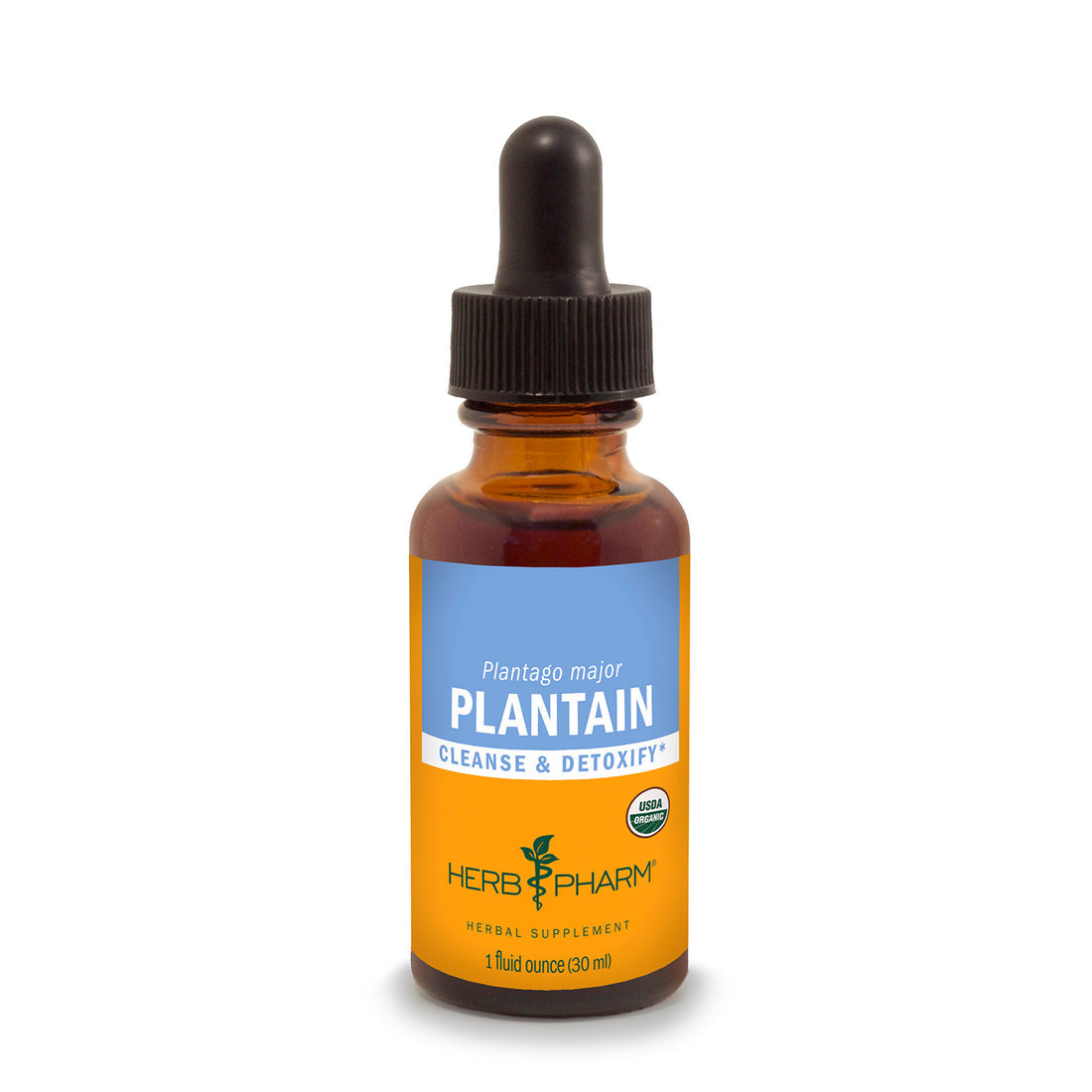Plantain Extract Tincture 1oz.