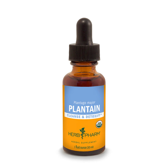 Plantain Extract Tincture 1oz.