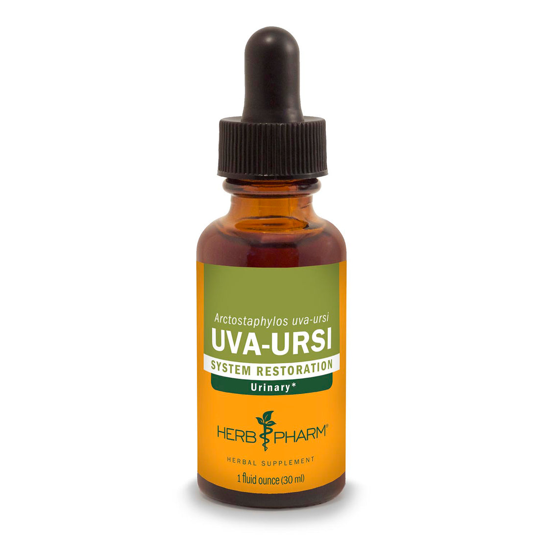 Uva Ursi Extract Tincture 1oz.