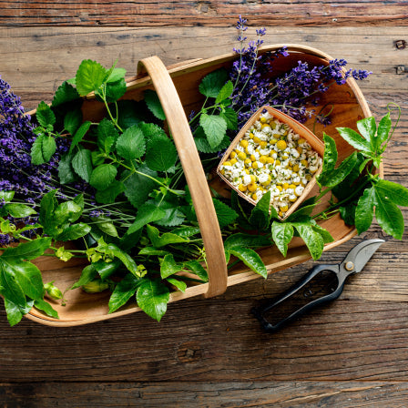 Organic Chamomile & Lavender Tea 16 Count