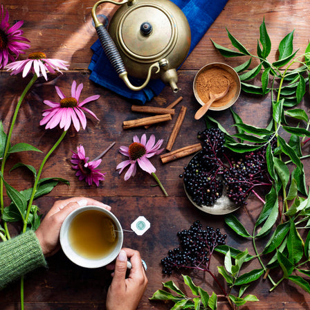 Organic Echinacea Plus Elderberry Tea 16 Count