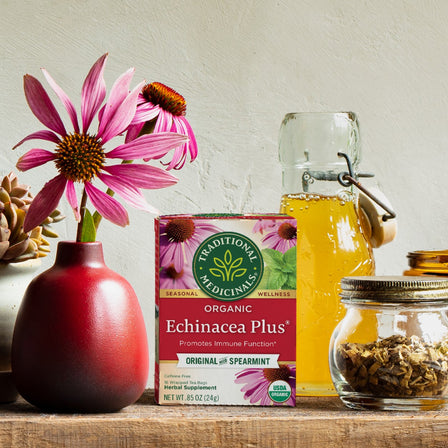 Organic Echinacea Plus Original W/Spearmint Tea 16 Count