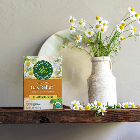 Organic Gas Relief Chamomile Mint Tea 16 Count