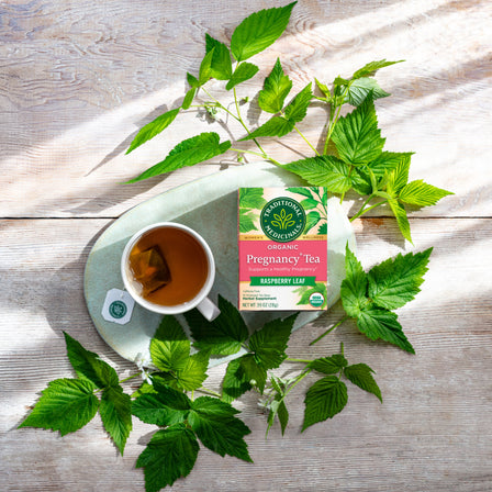 Organic Pregnancy Tea 16 Count