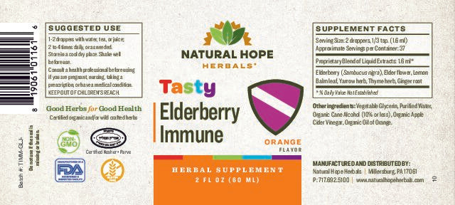Tasty Elderberry Immune Tincture 2oz.