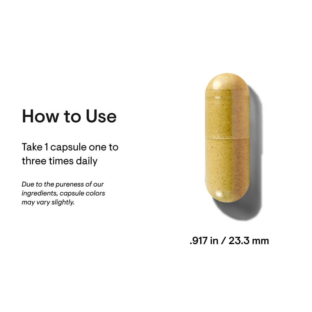 Basic B Complex 60 Count