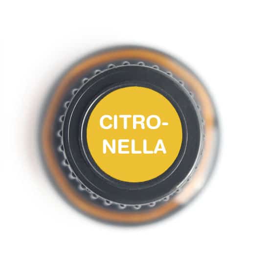 Citronella Essential Oil 15ml