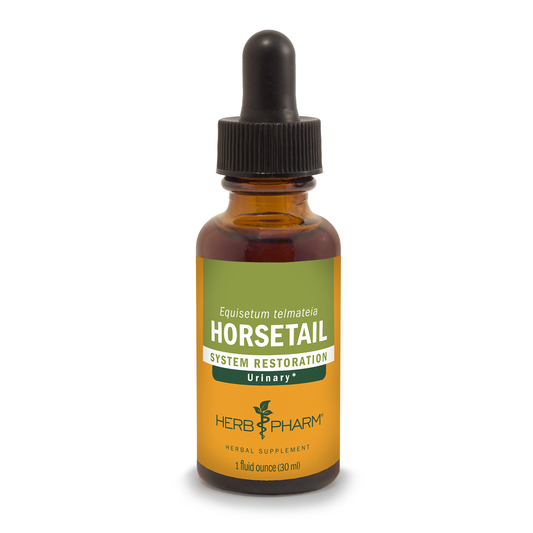 Horsetail Extract Tincture 1oz.