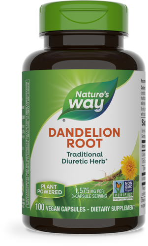 Dandelion Root