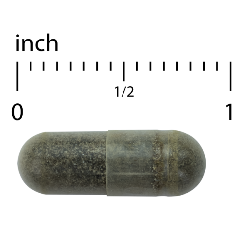 Andrographis EP80 Extra Strength 60 Count