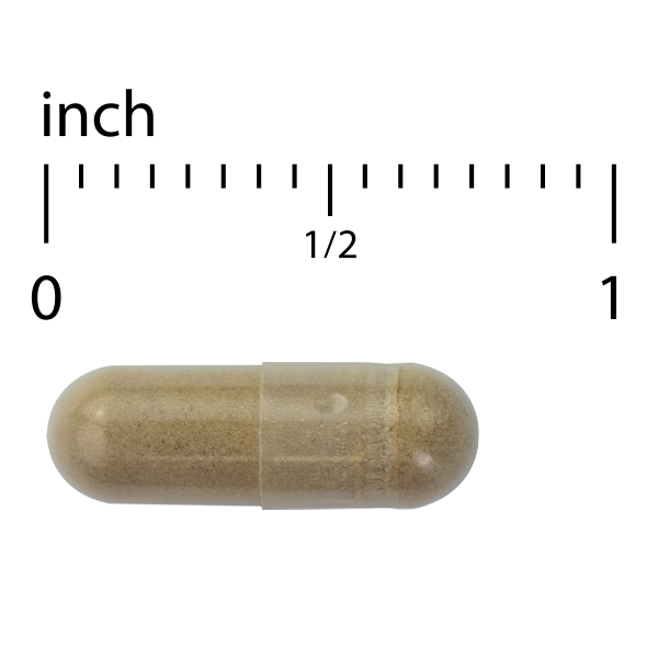 Ashwagandha EP35 Extra Strength 60 Count